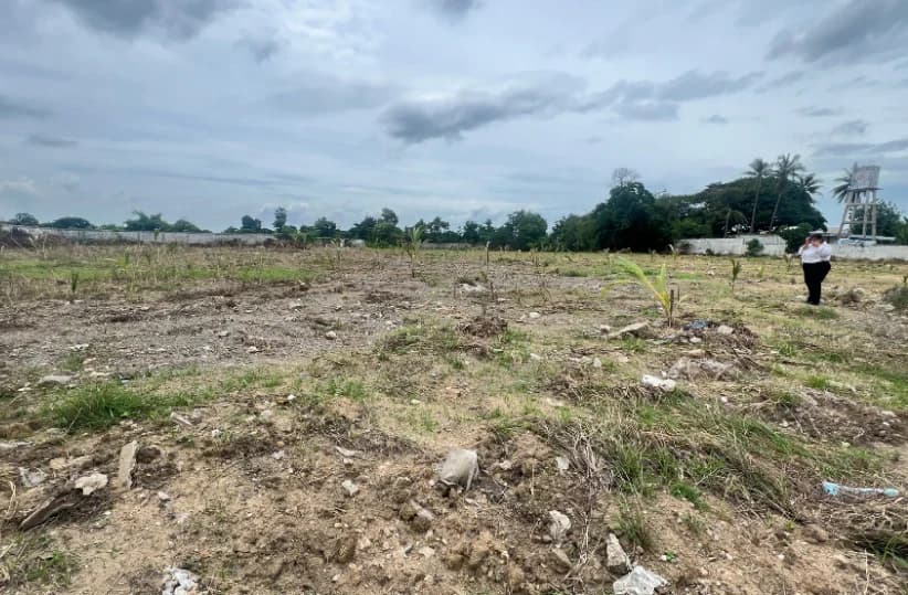 Land 9 rai 2 ngan 51 sq.wah. Next to Petchkasem Road, PTT gas station 5