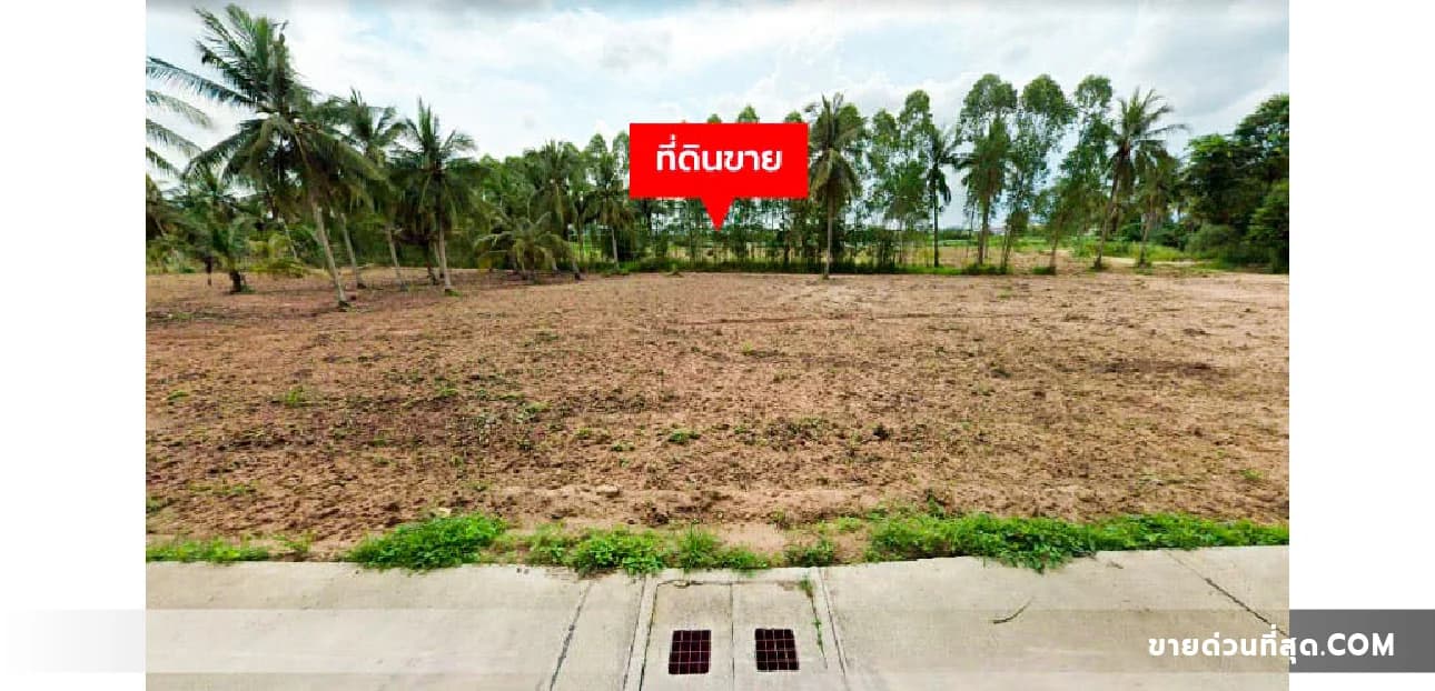 Land 35 rai 3 ngan 71.8 sq.wah. 331 road, Khao Khantrang, Bowin 2