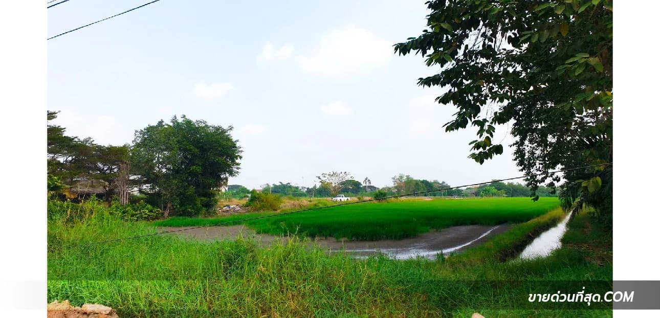 ขายที่ดิน ตรงข้ามการไฟฟ้าฯ ลำลูกกา คลอง 7 เนื้อที่  8 ไร่ 3 งาน 14.8 ตร.ว. 1