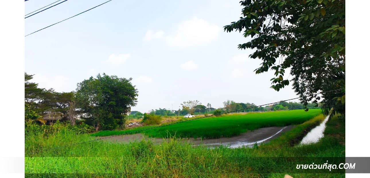 ขายที่ดิน ตรงข้ามการไฟฟ้าฯ ลำลูกกา คลอง 7 เนื้อที่  8 ไร่ 3 งาน 14.8 ตร.ว. 2