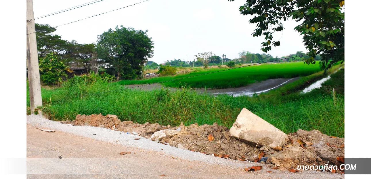 ขายที่ดิน ตรงข้ามการไฟฟ้าฯ ลำลูกกา คลอง 7 เนื้อที่  8 ไร่ 3 งาน 14.8 ตร.ว. 3