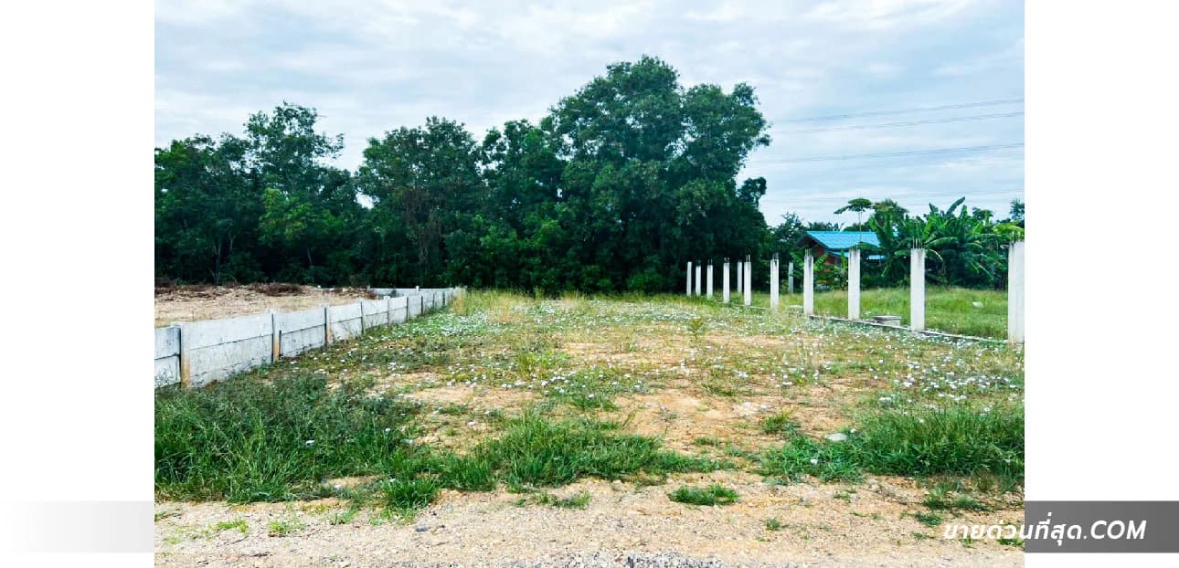 ขายที่ดิน ย่านหนองจอกใกล้สนามฟุตบอลอารีน่า พื้นที่ 100 ตร.ว. 1