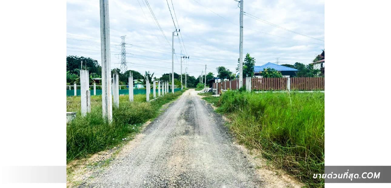 ขายที่ดิน ย่านหนองจอกใกล้สนามฟุตบอลอารีน่า พื้นที่ 100 ตร.ว. 2