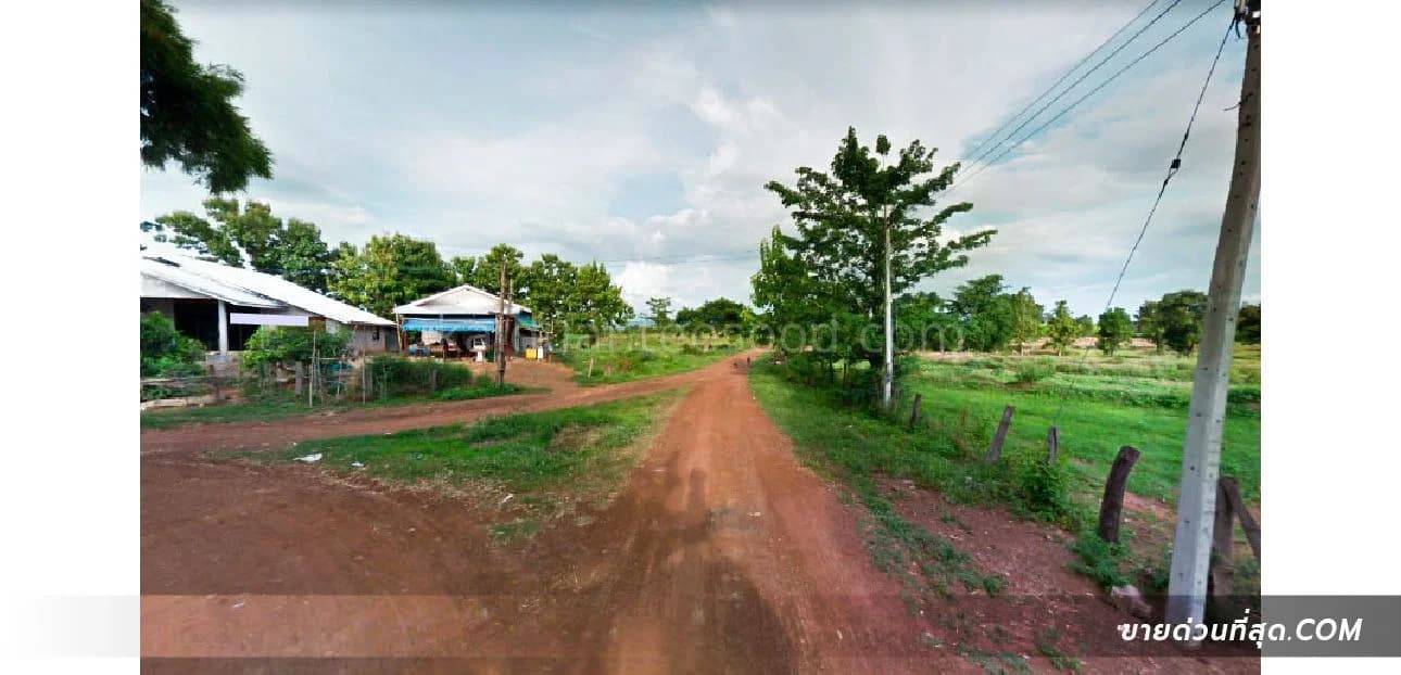 ขาย ที่ดิน 65 ไร่ 2 งาน 82 ตร.ว. (บ้านโสกห้าง) อ.ภูเวียง จ.ขอนแก่น (ไร่อ้อย) 1