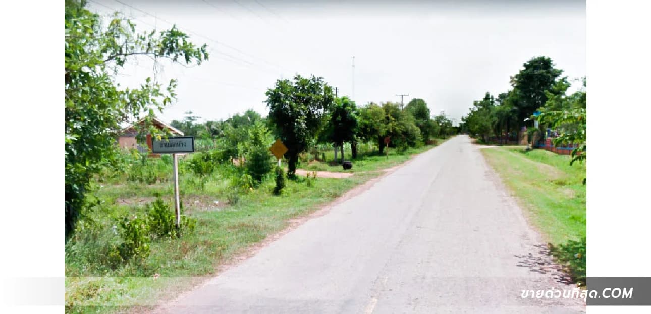 ขาย ที่ดิน 65 ไร่ 2 งาน 82 ตร.ว. (บ้านโสกห้าง) อ.ภูเวียง จ.ขอนแก่น (ไร่อ้อย) 2
