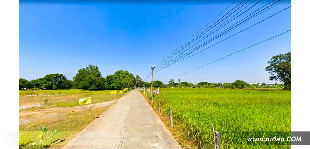 ขายที่ดิน 6 ไร่ 0 งาน 76.4 ตร.ว. บ้านโนนศิลา ทางไปบ้านเหลาโนนคูณ แยกไฟแดงโนนศิลา 4