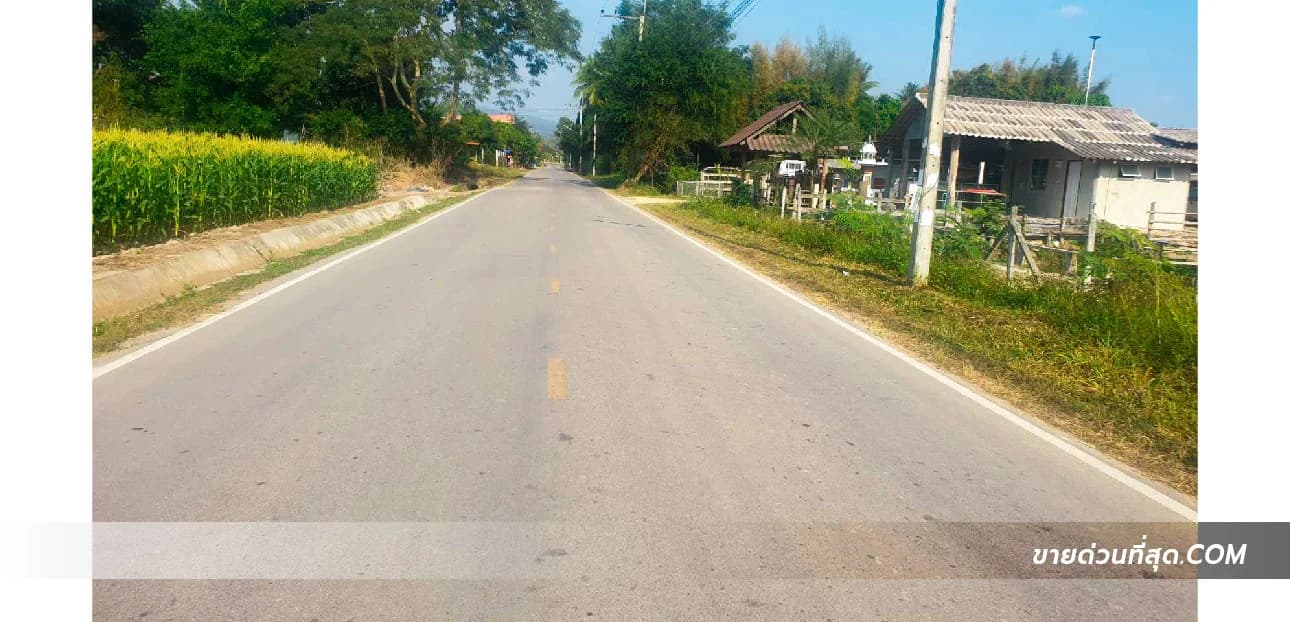 ขายที่ดิน อ.สันทราย จ.เชียงใหม่( ใกล้ รพ.สันทราย และ ม.แม่โจ้) เนื้อที่ 5 ไร่ 4