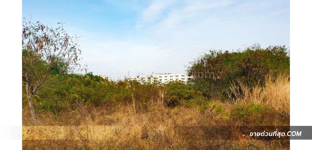 ขายที่ดิน ต.บ้านเก่า อ.พานทอง จ.ชลบุรี เนื้อที่ 3 ไร่ 3 งาน 0 ตร.ว. 1