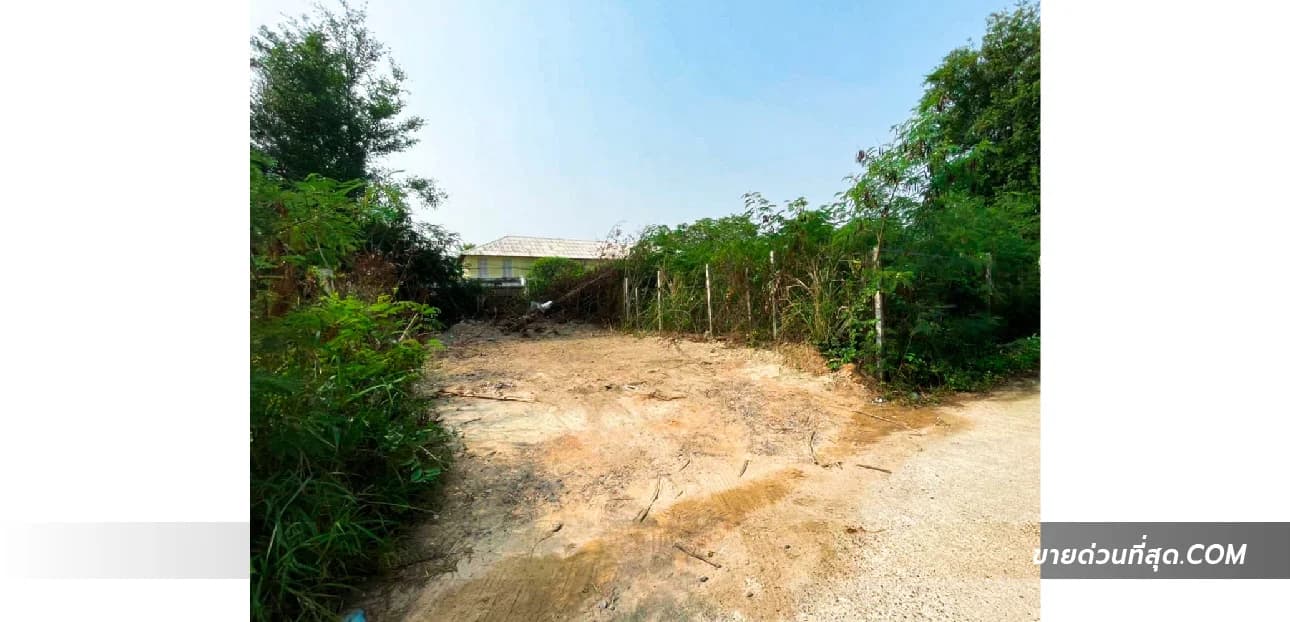 ขายที่ดิน ต.หนองแก อ.หัวหิน จ.ประจวบคีรีขันธ์ เนื้อที่  21.2 ตร.ว. 4