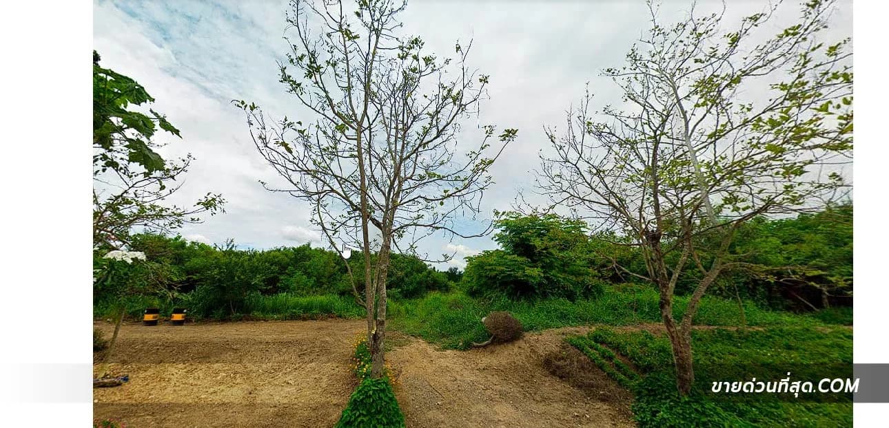 ขายที่ดิน ม่วงเหล็ก สระบุรี เนื้อที่ 4 ไร่ 0 งาน 27.9 ตร.ว. 1