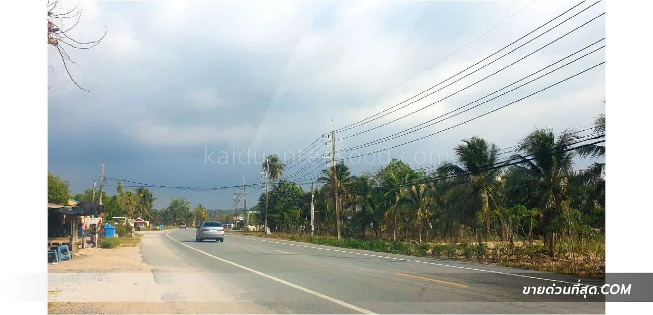 ขายที่ดิน ติดถนนหมายเลข 3241 ศรีราชา ชลบุรี เนื้อที่ 41 ไร่ 1 งาน 87 ตร.ว. 1
