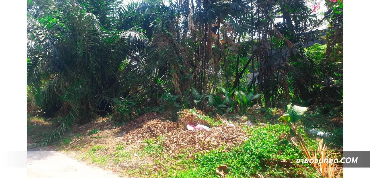 Land For Sale สวนหลวง, สวนหลวง, กรุงเทพมหานคร — photo 1