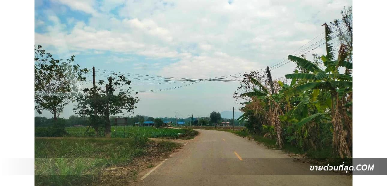 ขายที่ดิน ถ.โยธาธิการ ปากช่อง เนื้อที่ 3 ไร่ 3 งาน 50 ตร.ว. 2
