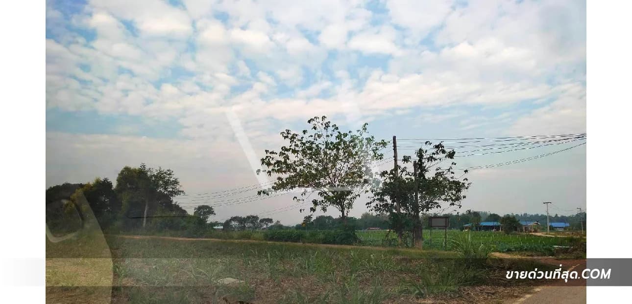 ขายที่ดิน ถ.โยธาธิการ ปากช่อง เนื้อที่ 3 ไร่ 3 งาน 50 ตร.ว. 3