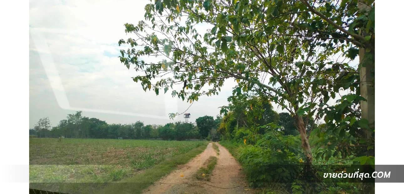 ขายที่ดิน ถ.โยธาธิการ ปากช่อง เนื้อที่ 3 ไร่ 3 งาน 50 ตร.ว. 4