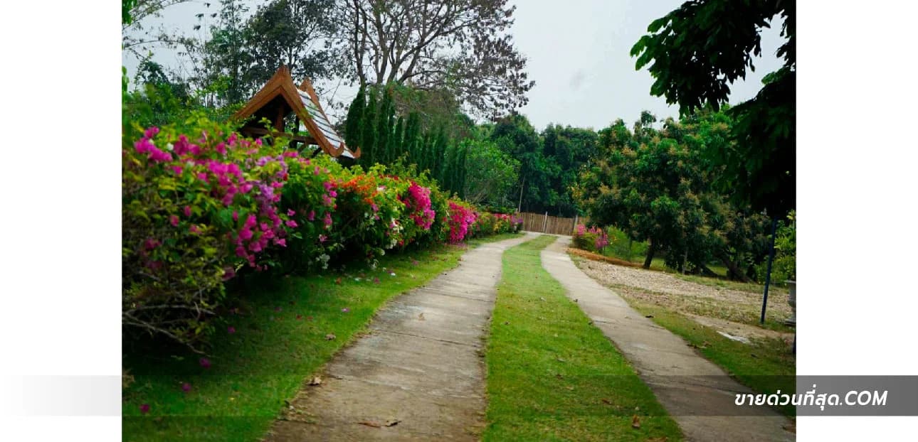 ขายที่ดินพร้อมรีสอร์ทเชียงดาวไพรเวซี่ เชียงใหม่ เนื้อที่ 19 ไร่ 87 ตร.ว. 3