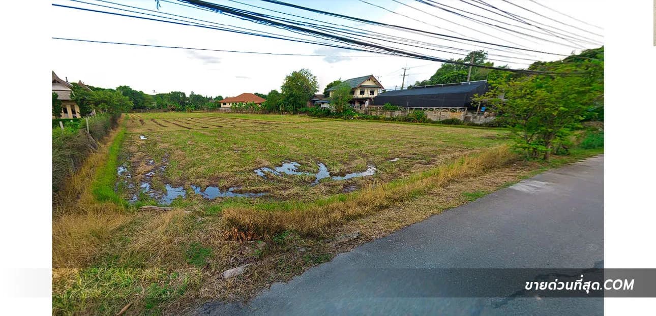 ขายที่ดิน อ.แม่ริม จ.เชียงใหม่ เนื้อที่ 3 ไร่ 1 งาน 26 ตร.ว. 3