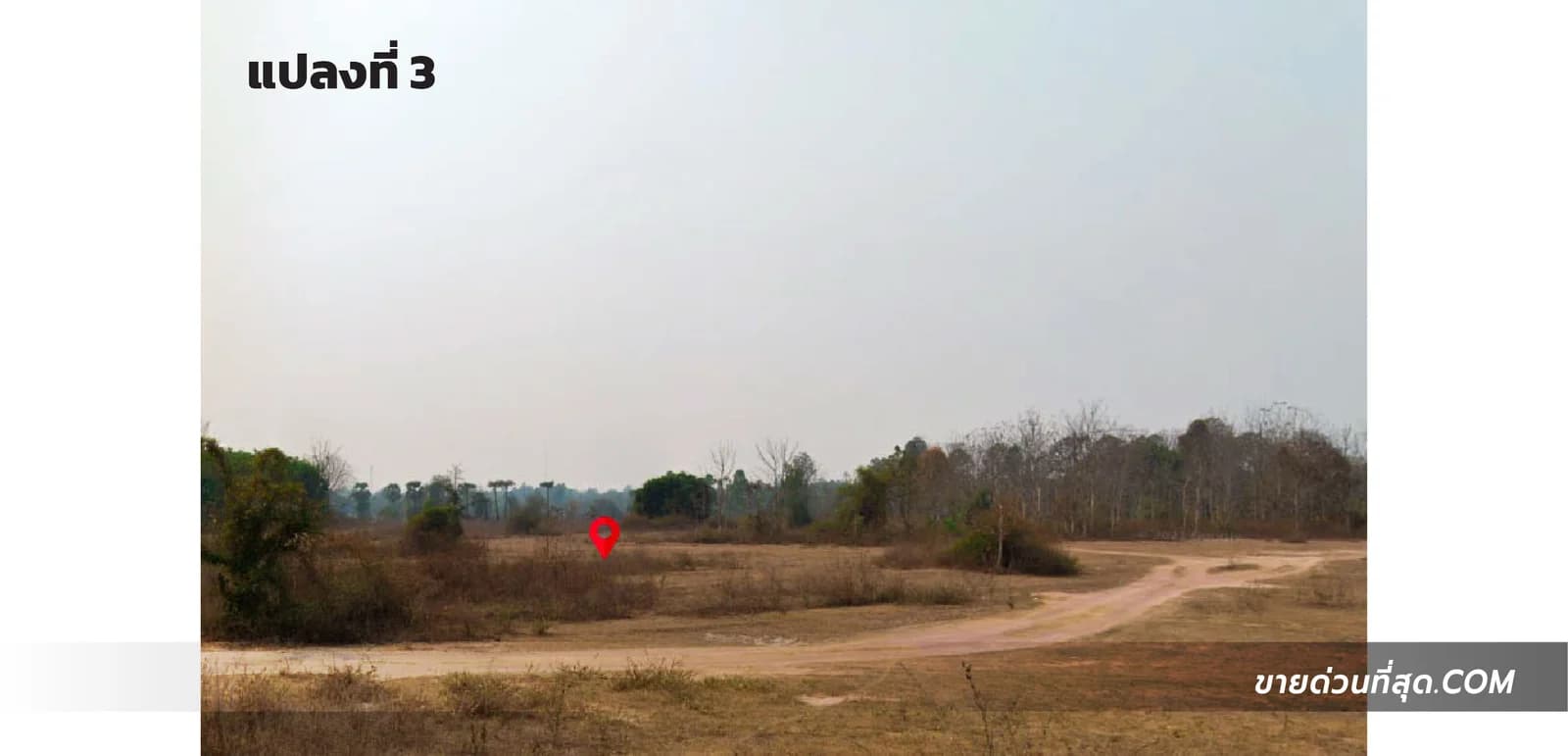 ขายที่ดินสวนสักบ้านสถานี ต.ห้างฉัตร อ.ห้างฉัตร จ.ลำปาง เนื้อที่ 19 ไร่ 9.3 ตร.ว. 3
