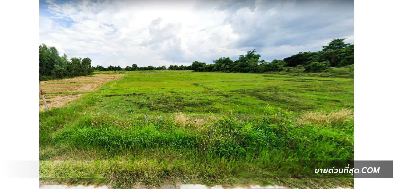 ที่ดินบ้านแม่ยิ่ง ต.หนองหล่ม อ.ห้างฉัตร จ.ลำปาง เนื้อที่ 8 ไร่ 1 งาน 19.6 ตร.ว. 2