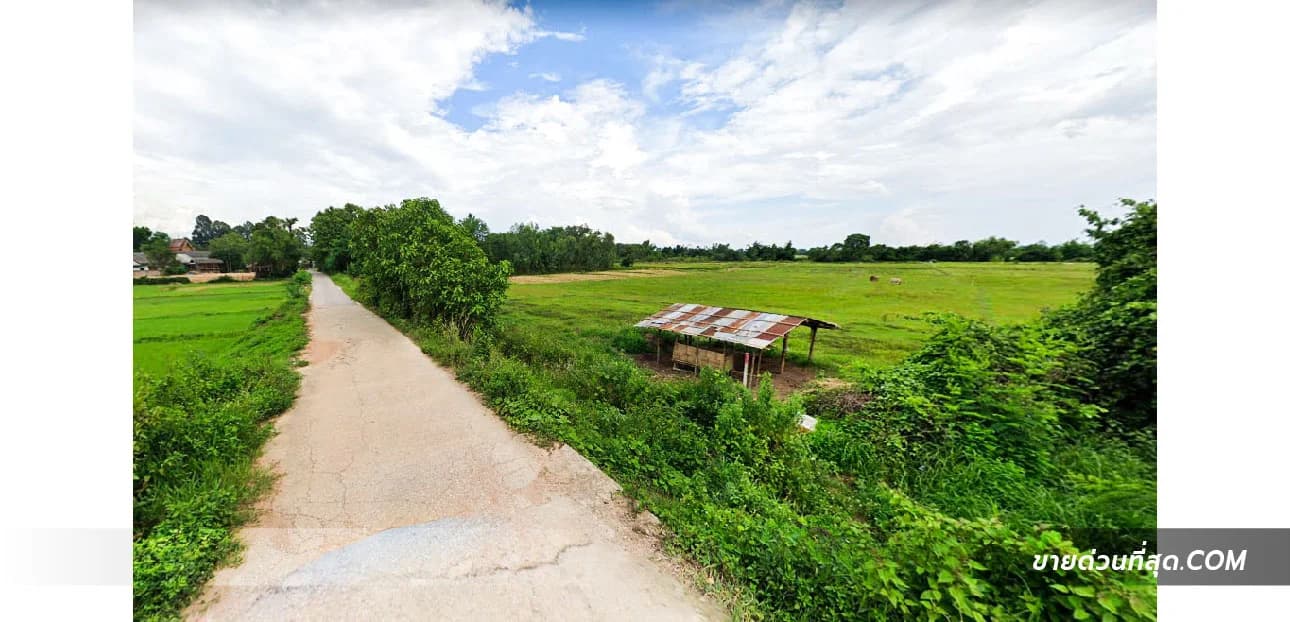 ที่ดินบ้านแม่ยิ่ง ต.หนองหล่ม อ.ห้างฉัตร จ.ลำปาง เนื้อที่ 8 ไร่ 1 งาน 19.6 ตร.ว. 5