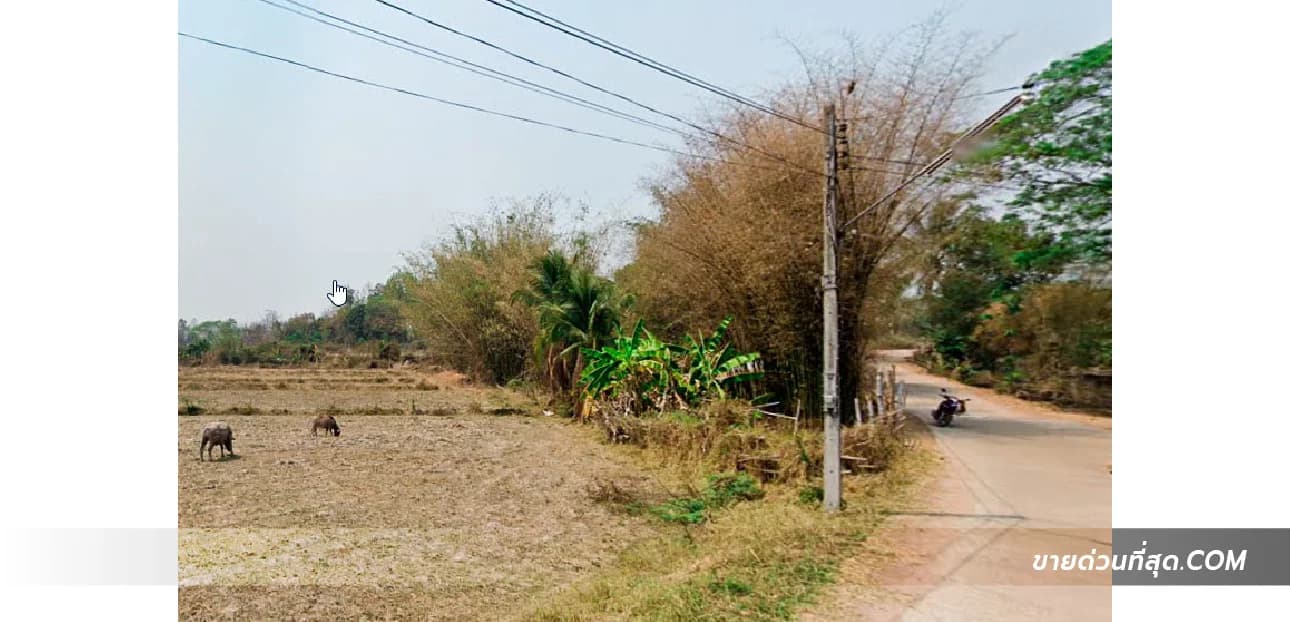 ที่ดินบ้านแม่ยิ่ง ต.หนองหล่ม อ.ห้างฉัตร จ.ลำปาง เนื้อที่ 3 ไร่ 1 งาน 39.1 ตร.ว. 3