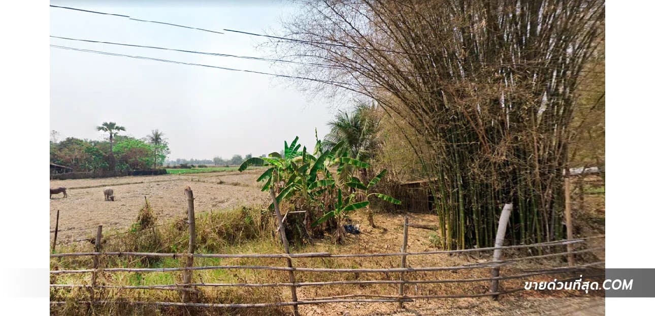 ที่ดินบ้านแม่ยิ่ง ต.หนองหล่ม อ.ห้างฉัตร จ.ลำปาง เนื้อที่ 3 ไร่ 1 งาน 39.1 ตร.ว. 5