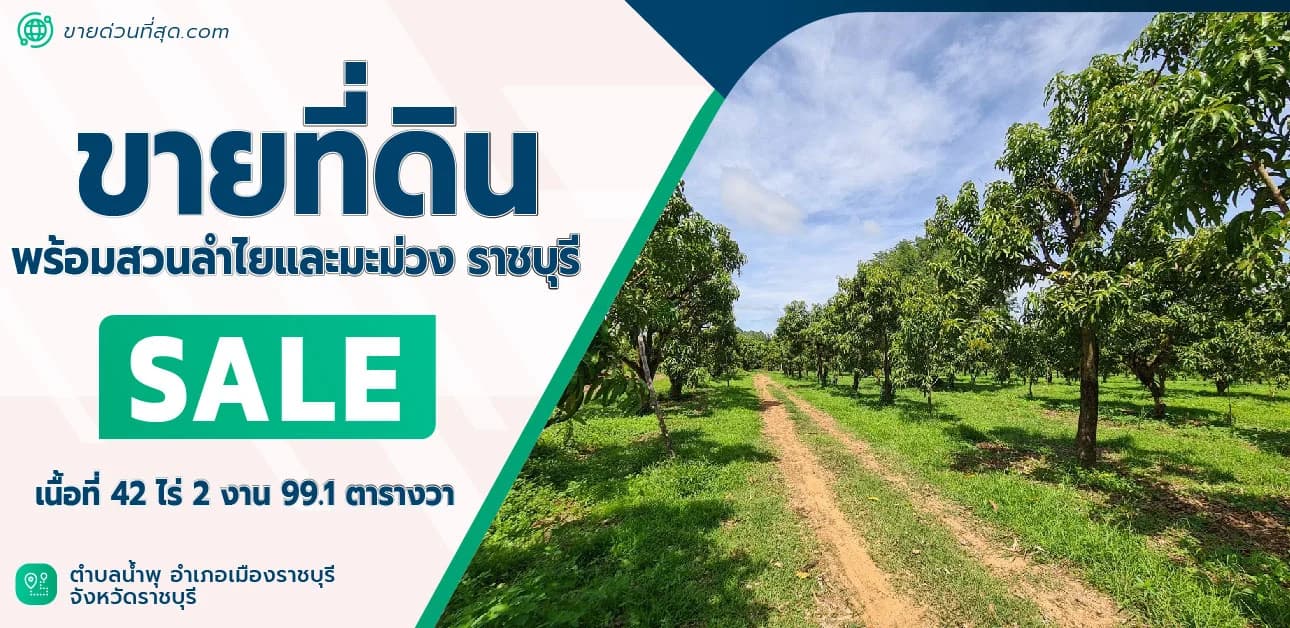 ที่ดินพร้อมสวนลำไยและมะม่วง ต.น้ำพุ เมืองราชบุรี เนื้อที่ 42 ไร่ 2 งาน 99.1 ตร.ว 1