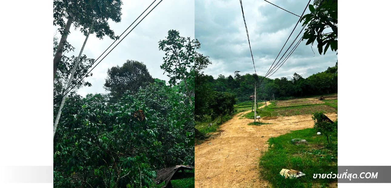 Land For Sale ฝายหลวง, ลับแล, อุตรดิตถ์ — photo 1