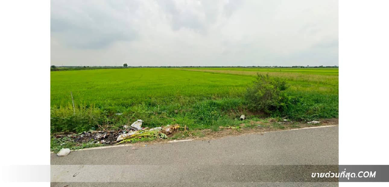 ขายที่ดิน อ.บางน้ำเปรี้ยว ฉะเชิงเทรา เนื้อที่ 281 ไร่ 5