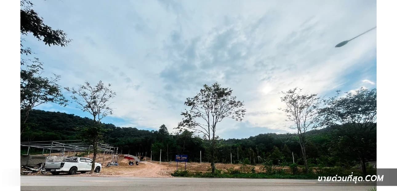 ขายที่ดินพร้อมสวนทุเรียน อ.นายายอาม จ.จันทบุรี เนื้อที่ 5 ไร่ 3 งาน 86 ตร.ว. 1