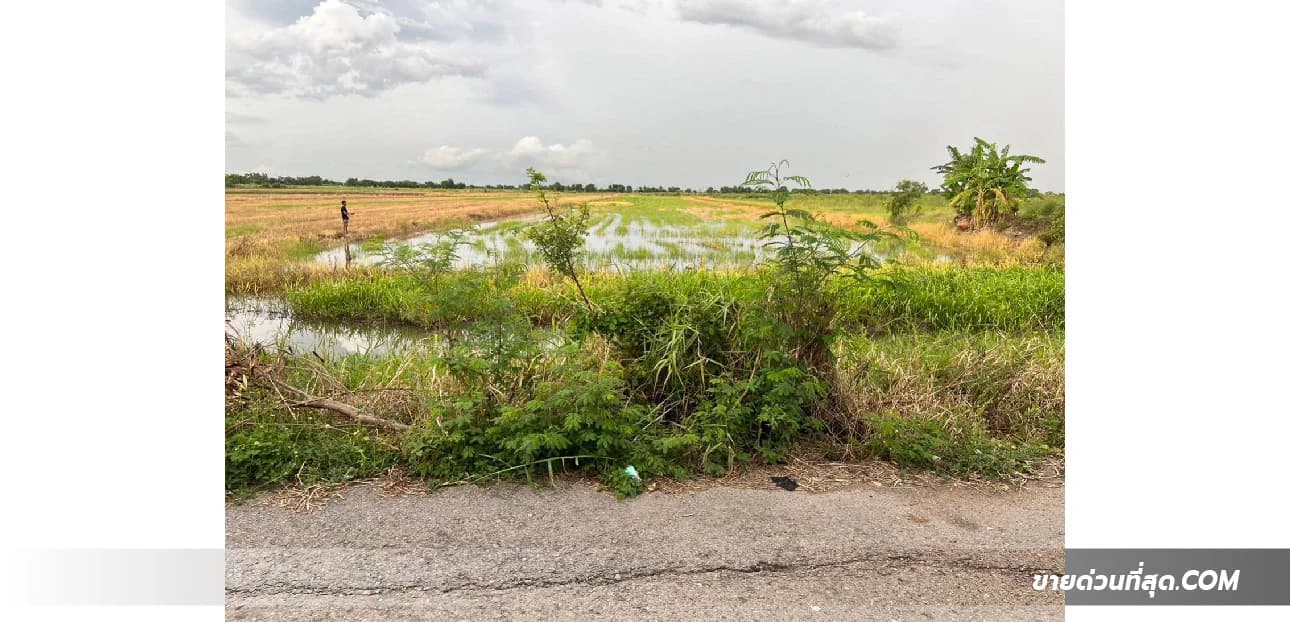 Land For Sale โพธิ์แทน, องครักษ์, นครนายก — photo 1