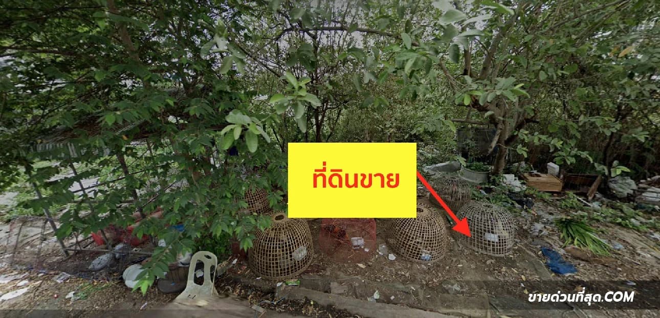 ขายที่ดิน ซ.แจ้งวัฒนะ 10 แยก 2-3 ใกล้ถนนวิภาวดีรังสิต เนื้อที่ 200 ตร.ว. 3