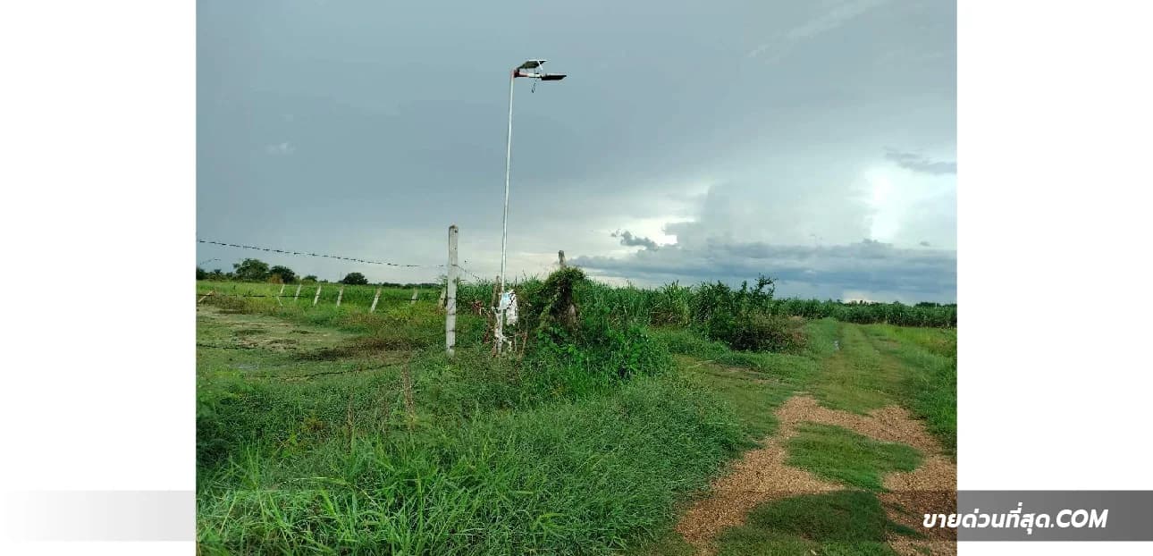 ขายที่ดิน ต.ดอนกระเบื้อง อ.บ้านโป่ง ราชบุรี เนื้อที่ 15 ไร่ 3 งาน 33 ตร.ว. 1