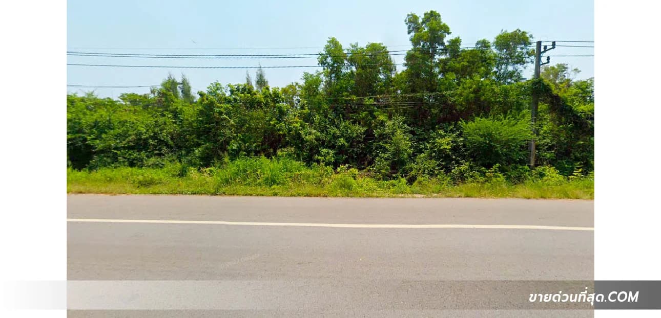 ขายที่ดินติดหาดแม่พิมพ์ อ.แกลง จ.ระยอง เนื้อที่ 9 ไร่ 3 งาน 21.8 ตร.ว. 2