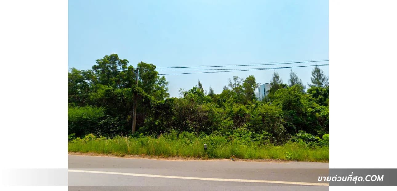 ขายที่ดินติดหาดแม่พิมพ์ อ.แกลง จ.ระยอง เนื้อที่ 9 ไร่ 3 งาน 21.8 ตร.ว. 3