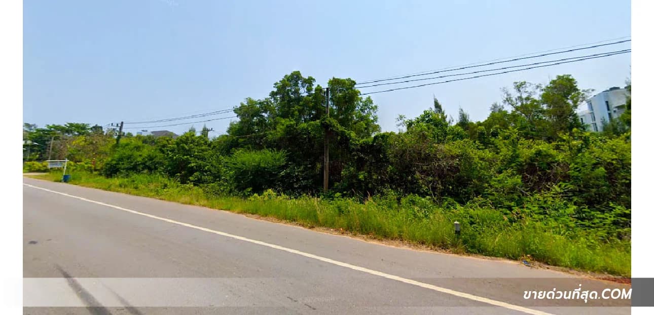 ขายที่ดินติดหาดแม่พิมพ์ อ.แกลง จ.ระยอง เนื้อที่ 9 ไร่ 3 งาน 21.8 ตร.ว. 4