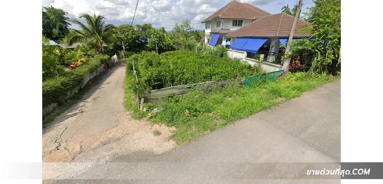 ขายที่ดิน ต.ริมใต้ อ.แม่ริม จ.เชียงใหม่ เนื้อที่ 123 ตร.ว. 1