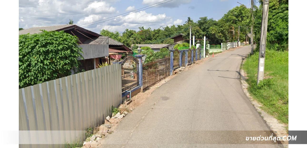 ขายที่ดิน ต.ริมใต้ อ.แม่ริม เชียงใหม่ เนื้อที่ 102 ตร.ว. 3
