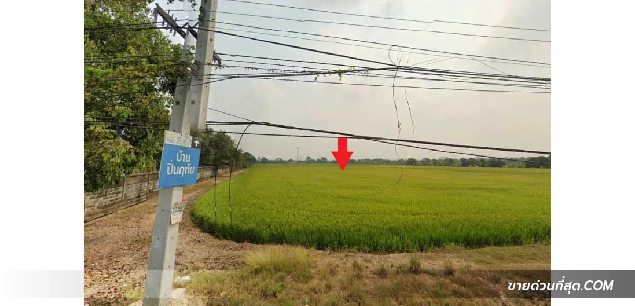 ขายที่ดิน ติดถนน ปท.3007 (ใกล้โลตัส รังสิต คลอง 7) เนื้อที่ 48 ไร่ 71.3 ตร.ว. 1
