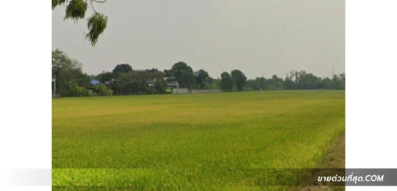 ขายที่ดิน ติดถนน ปท.3007 (ใกล้โลตัส รังสิต คลอง 7) เนื้อที่ 48 ไร่ 71.3 ตร.ว. 2