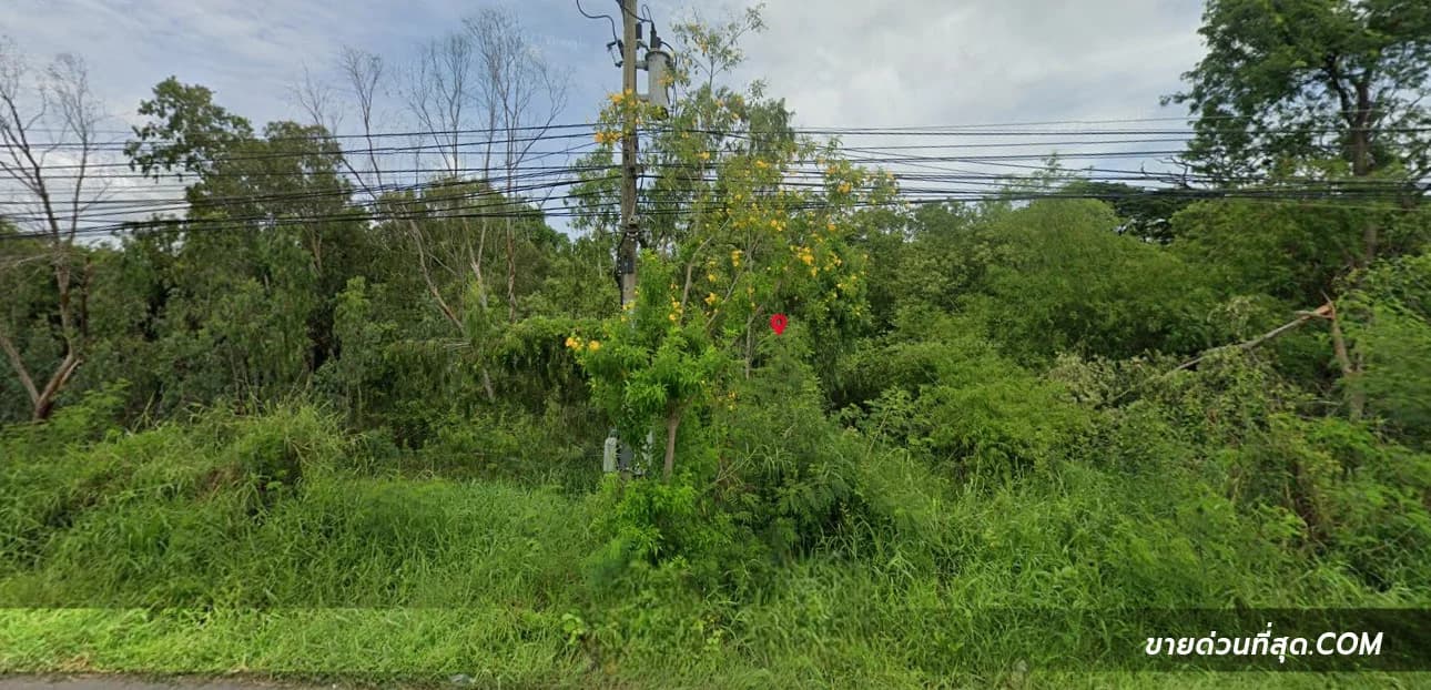 ขายที่ดิน ติดถนนหมายเลข 3477 (ใกล้พระราชวังบางปะอิน) เนื้อที่ 15 ไร่ 26 ตร.ว. 1
