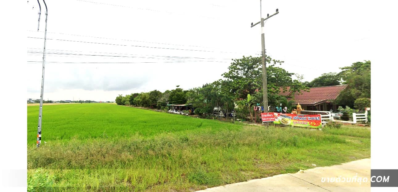 ขายที่ดินติดถนนพร้อมบ้าน ซ.ลำลูกกา 97 เนื้อที่ 6 ไร่ 55.3 ตร.ว. 1