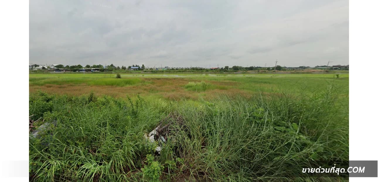 ขายที่ดินติดถนน ซ.ลำลูกกา 97 (บึงคำพร้อย8) เนื้อที่ 2 ไร่ 2