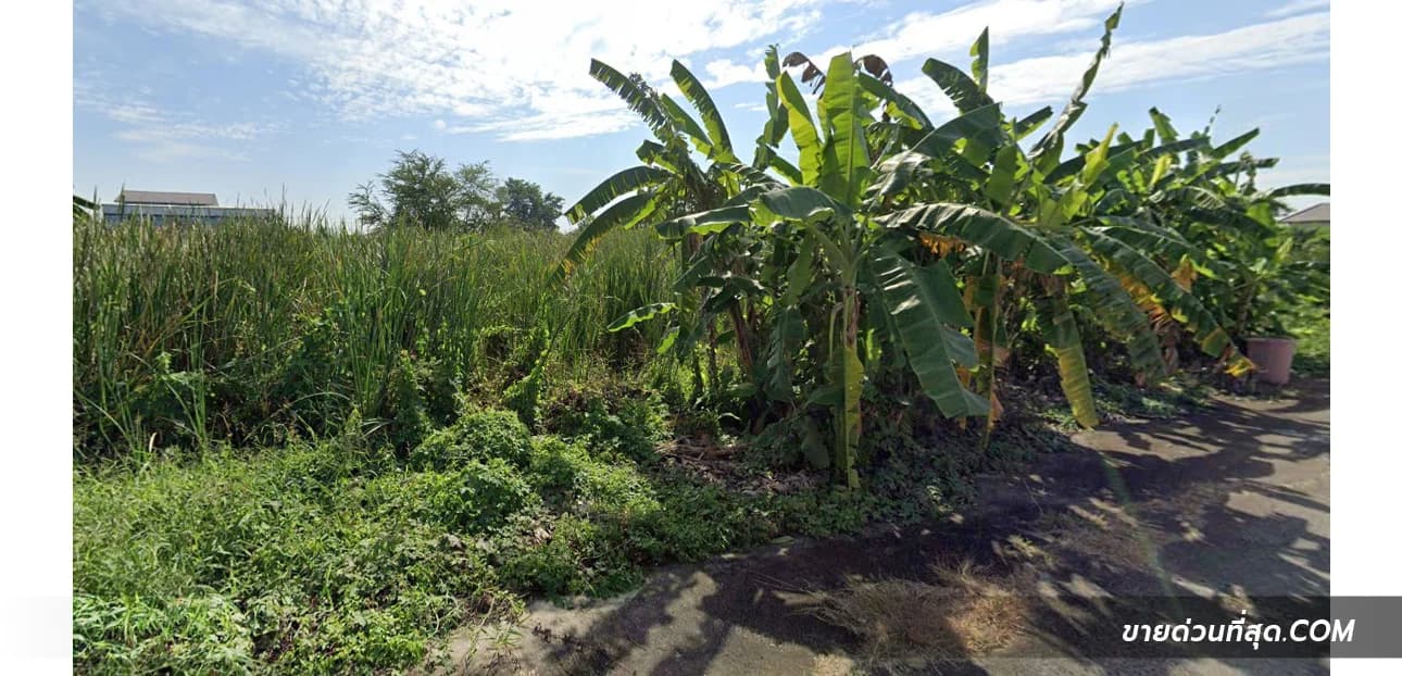 Land For Sale ศาลาธรรมสพน์, ทวีวัฒนา, กรุงเทพมหานคร — photo 1