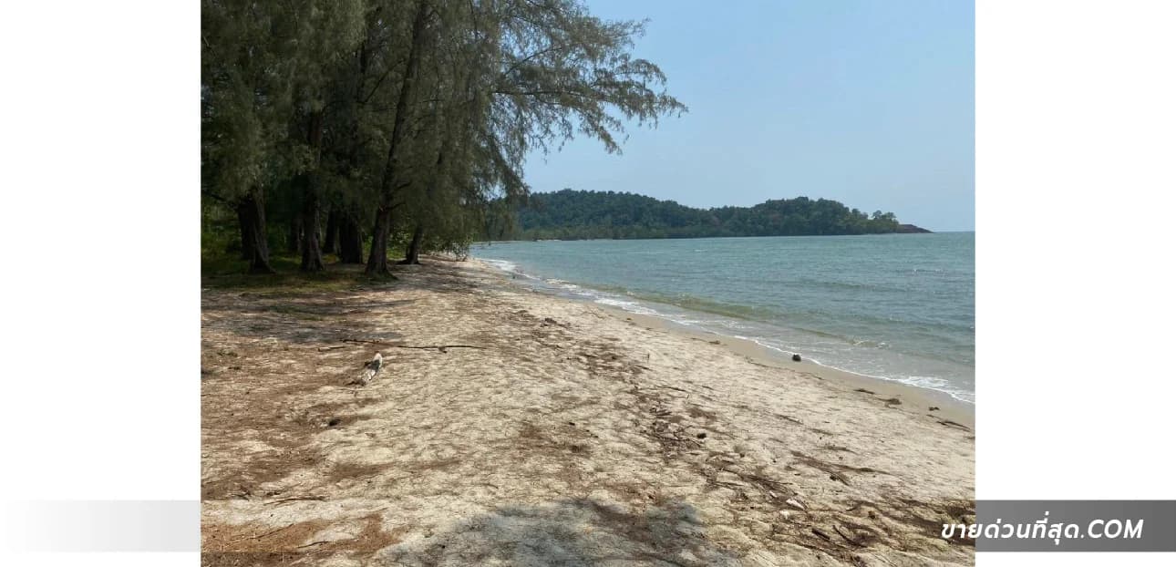 Land 65 rai 0 ngan 10 sq m, next to the sea, Tubtim Beach (Trad) 1