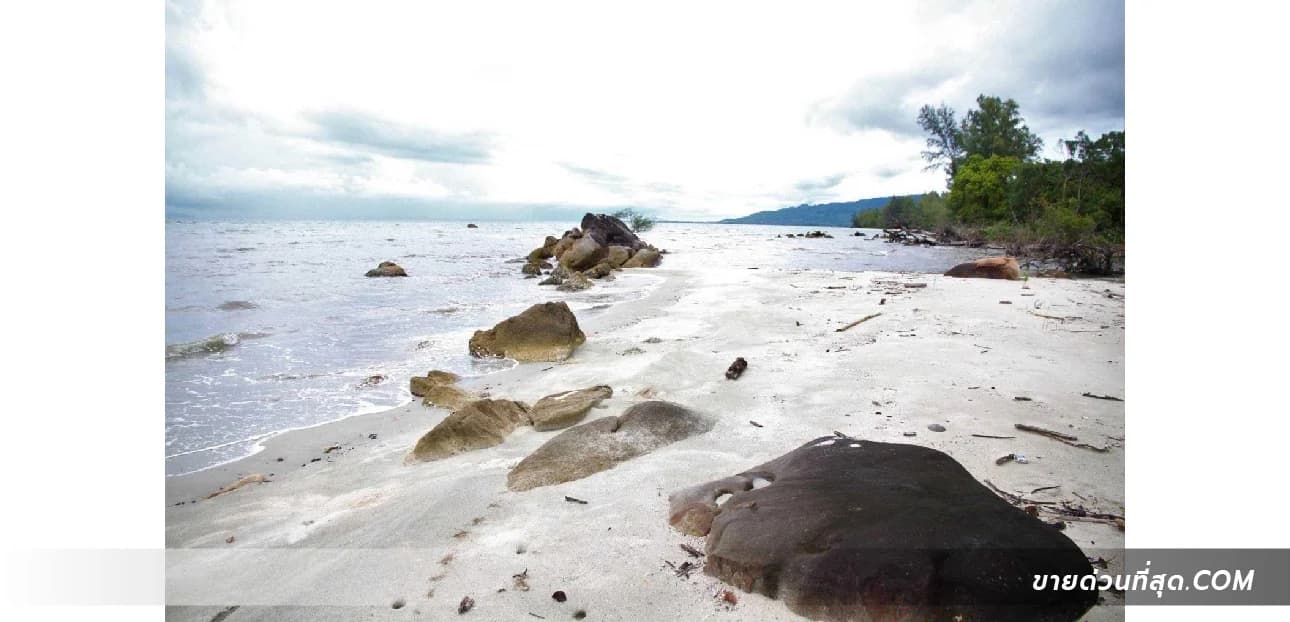Land 65 rai 0 ngan 10 sq m, next to the sea, Tubtim Beach (Trad) 2