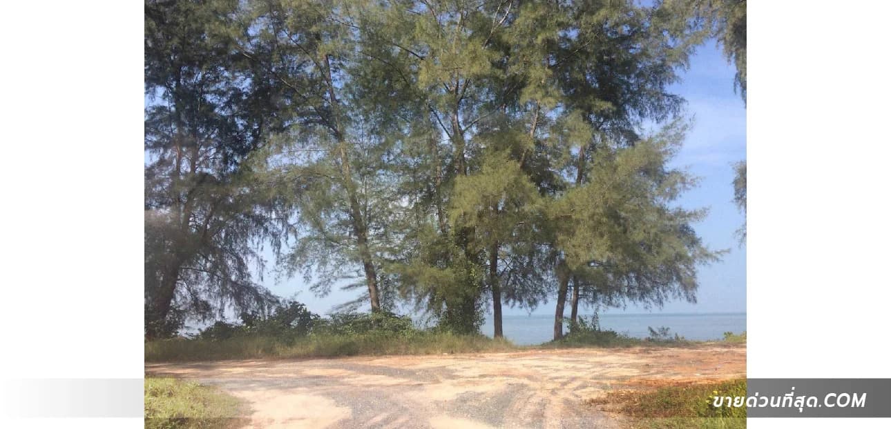 Land 65 rai 0 ngan 10 sq m, next to the sea, Tubtim Beach (Trad) 4