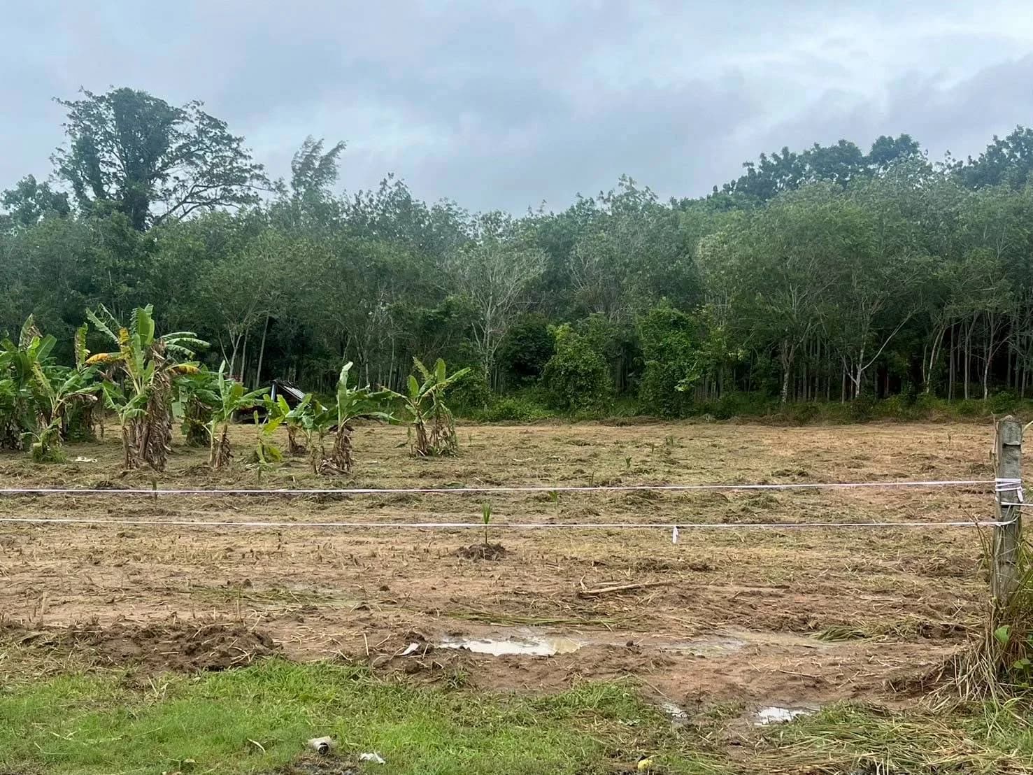 Land for sale 3 rai 2 ngan 0 sq.wah. Soi Tantawanit. 1