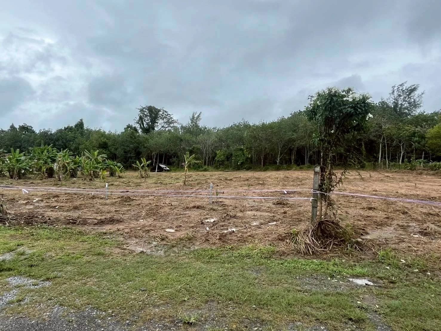 Land for sale 3 rai 2 ngan 0 sq.wah. Soi Tantawanit. 2