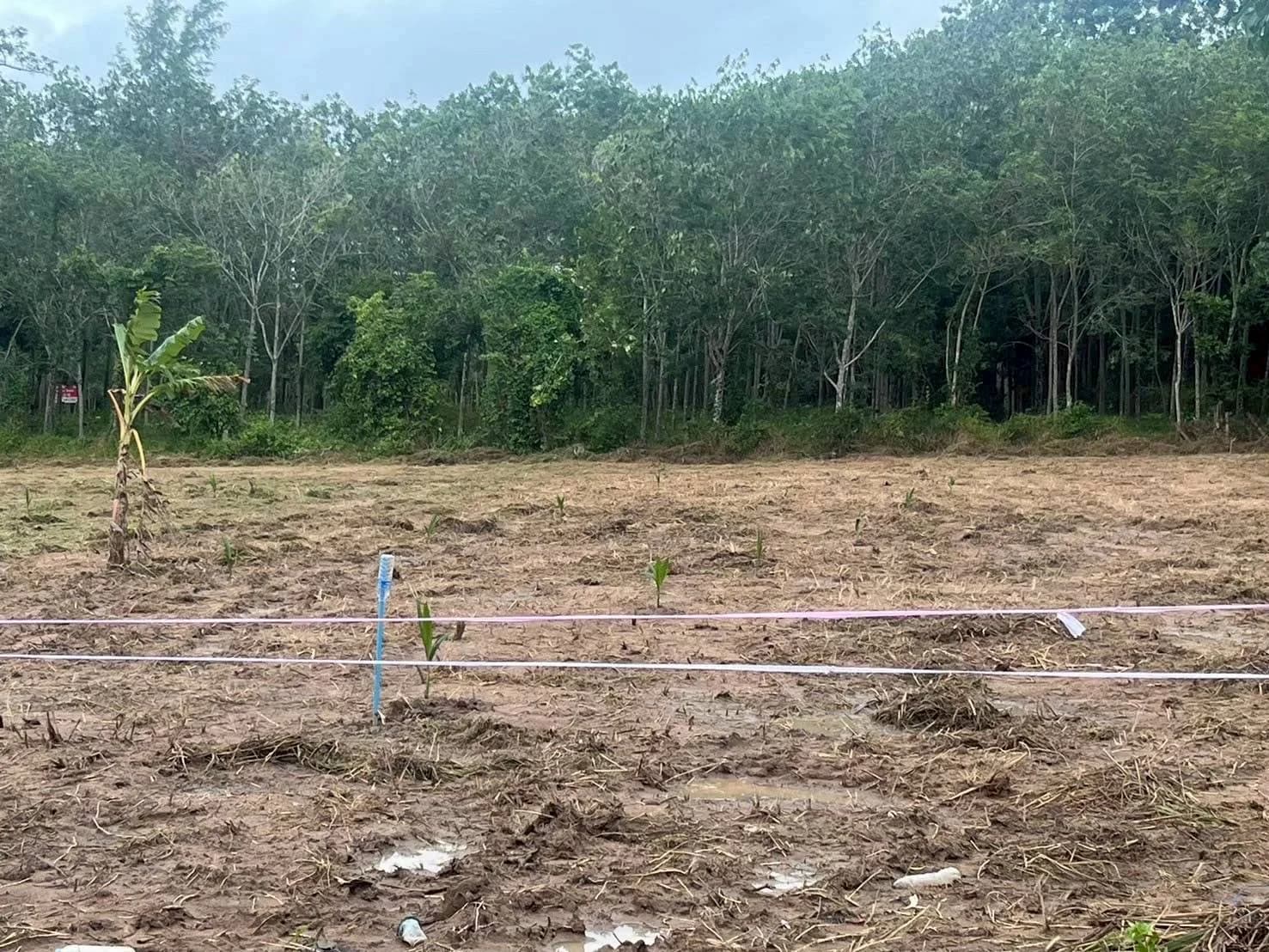 Land for sale 3 rai 2 ngan 0 sq.wah. Soi Tantawanit. 3